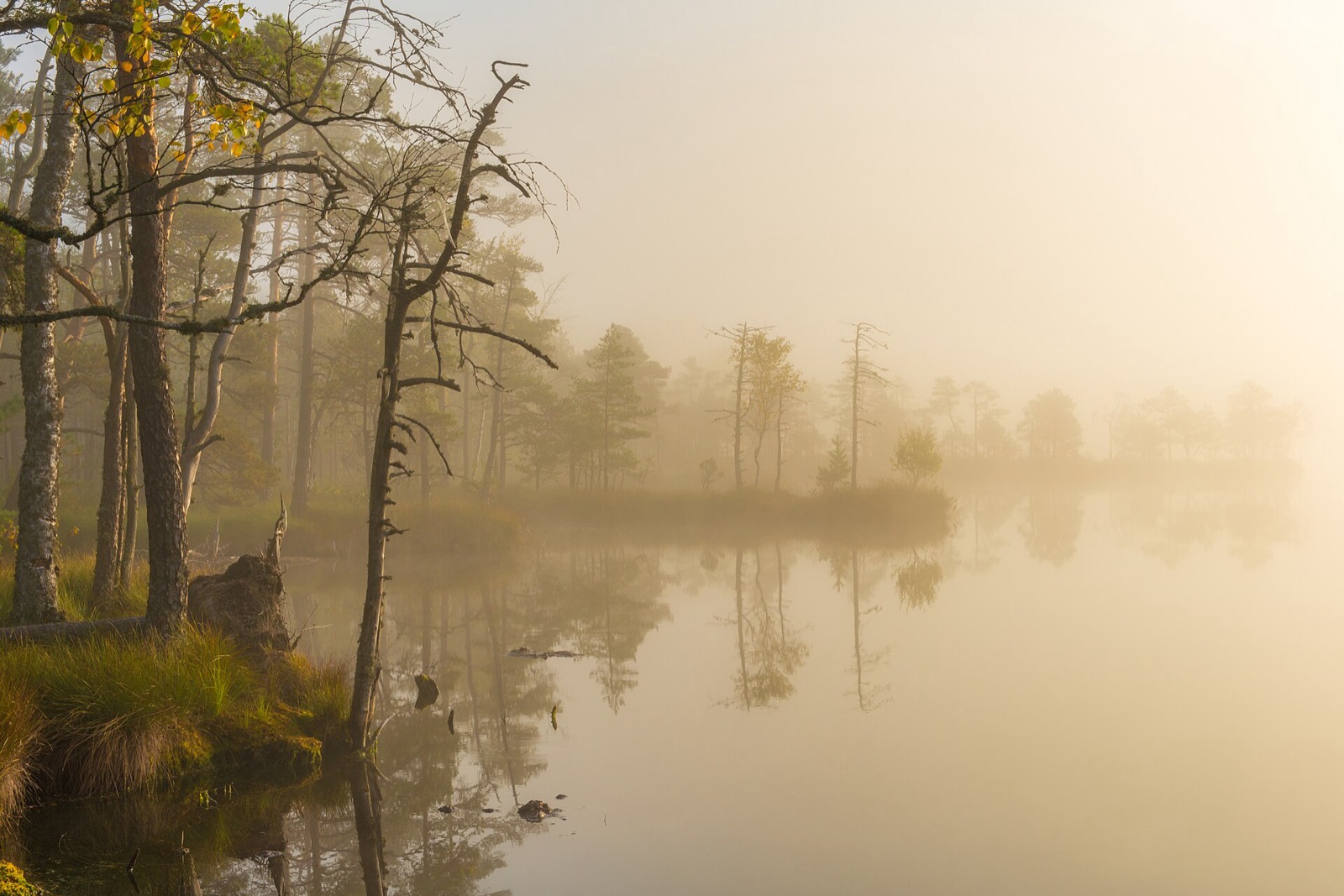 Niebla sobre el agua